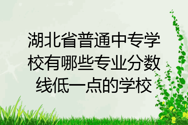 湖北省普通中专学校有哪些专业分数线低一点的学校