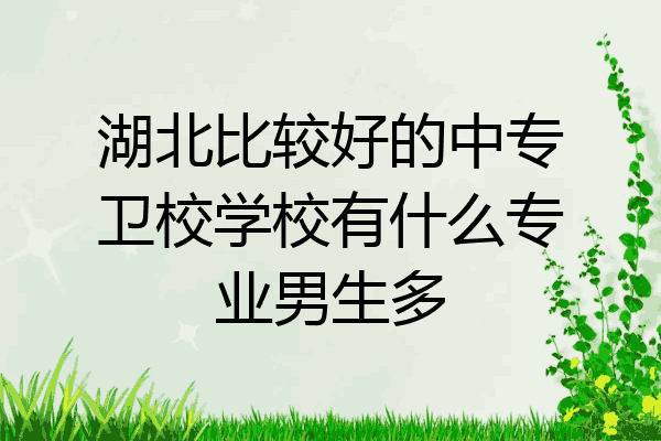 湖北比较好的中专卫校学校有什么专业男生多