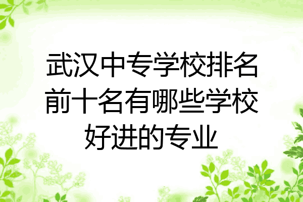 武汉中专学校排名前十名有哪些学校好进的专业
