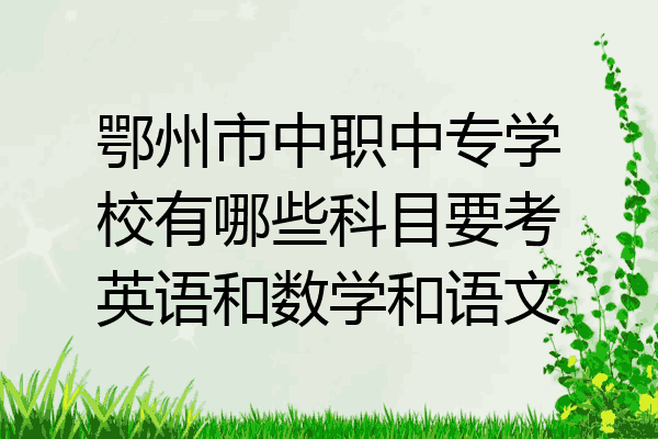 鄂州市中职中专学校有哪些科目要考英语和数学和语文