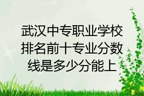武汉中专职业学校排名前十专业分数线是多少分能上