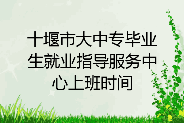 十堰市大中专毕业生就业指导服务中心上班时间