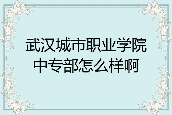 武汉城市职业学院中专部怎么样啊