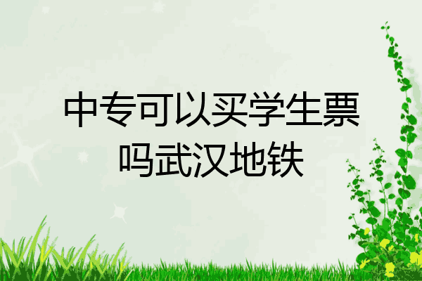 中专可以买学生票吗武汉地铁