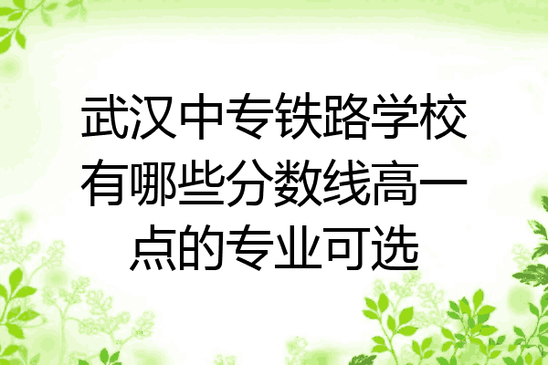武汉中专铁路学校有哪些分数线高一点的专业可选