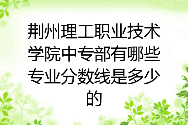 荆州理工职业技术学院中专部有哪些专业分数线是多少的