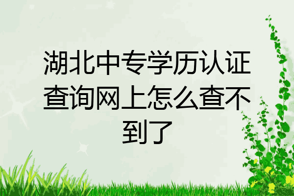 湖北中专学历认证查询网上怎么查不到了