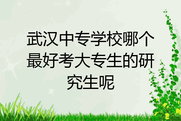 武汉中专学校哪个最好考大专生的研究生呢
