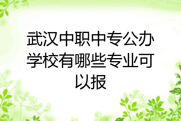 武汉中职中专公办学校有哪些专业可以报