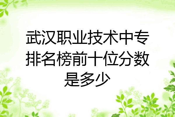 武汉职业技术中专排名榜前十位分数是多少
