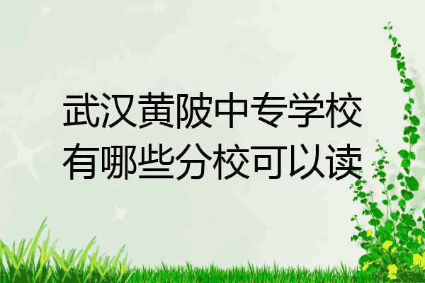 武汉黄陂中专学校有哪些分校可以读