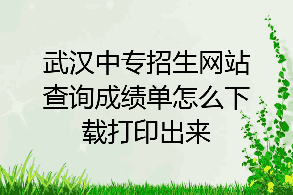 武汉中专招生网站查询成绩单怎么下载打印出来