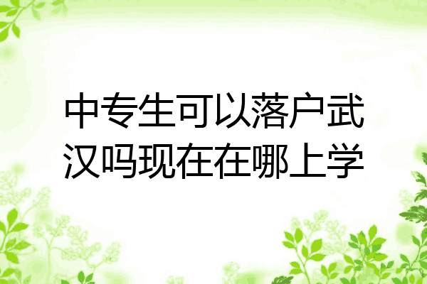 中专生可以落户武汉吗现在在哪上学
