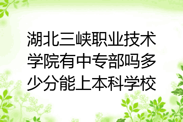 湖北三峡职业技术学院有中专部吗多少分能上本科学校
