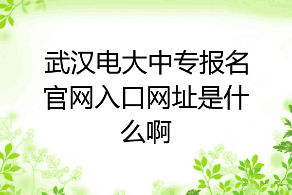 武汉电大中专报名官网入口网址是什么啊