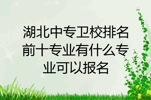 湖北中专卫校排名前十专业有什么专业可以报名