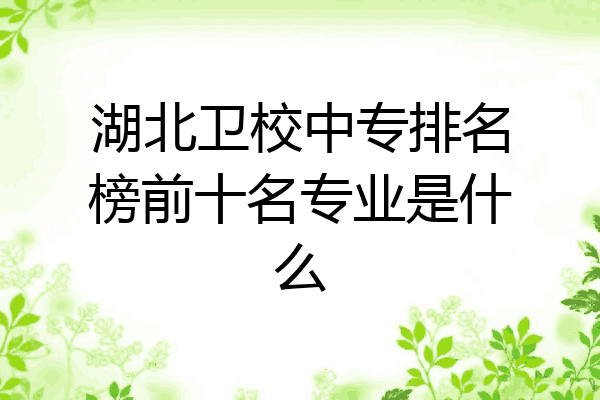 湖北卫校中专排名榜前十名专业是什么