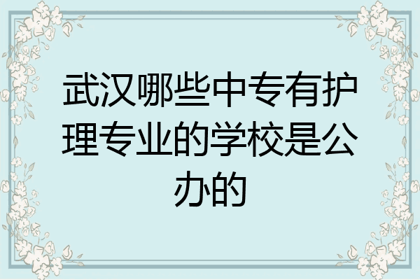 武汉哪些中专有护理专业的学校是公办的