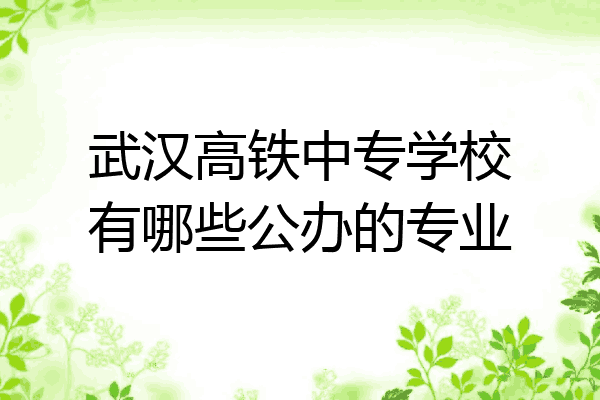 武汉高铁中专学校有哪些公办的专业