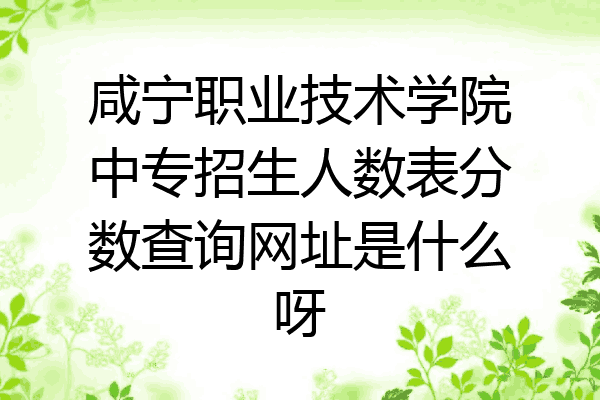 咸宁职业技术学院中专招生人数表分数查询网址是什么呀