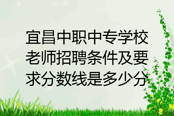 宜昌中职中专学校老师招聘条件及要求分数线是多少分