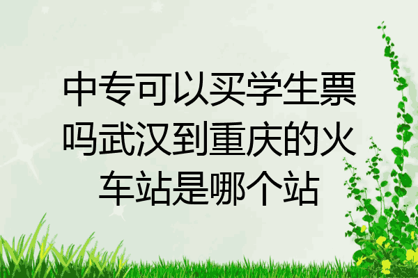 中专可以买学生票吗武汉到重庆的火车站是哪个站