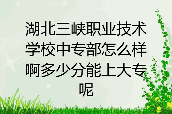 湖北三峡职业技术学校中专部怎么样啊多少分能上大专呢