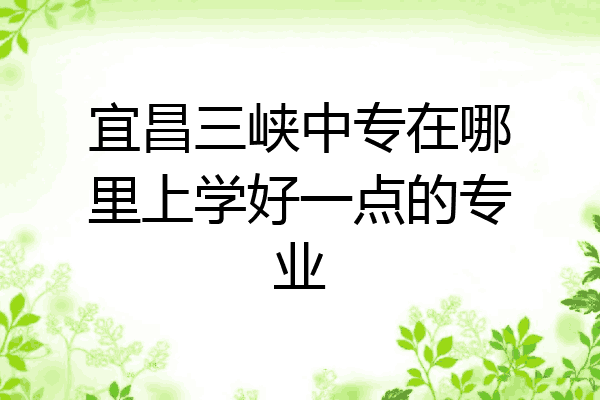 宜昌三峡中专在哪里上学好一点的专业