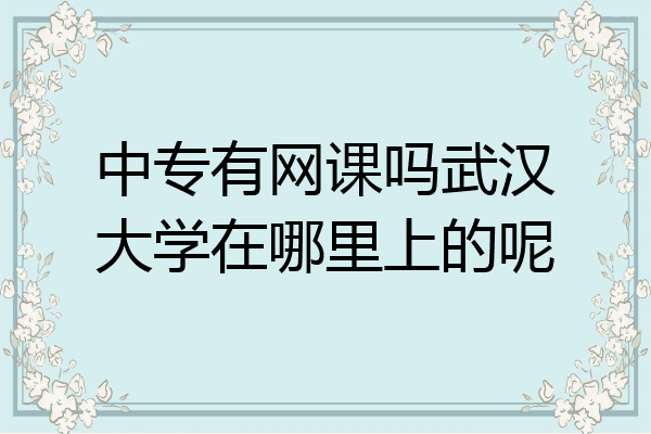 中专有网课吗武汉大学在哪里上的呢