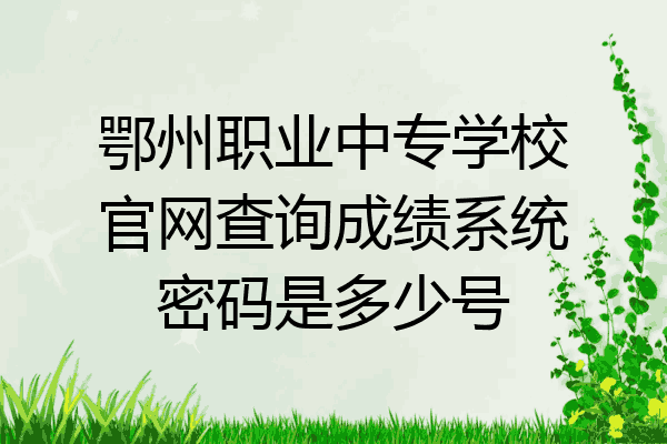 鄂州职业中专学校官网查询成绩系统密码是多少号
