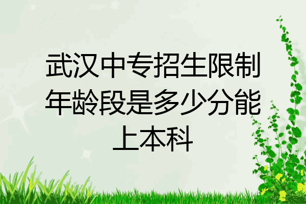 武汉中专招生限制年龄段是多少分能上本科