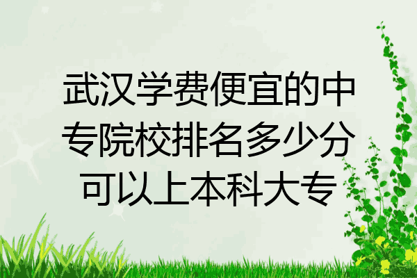 武汉学费便宜的中专院校排名多少分可以上本科大专