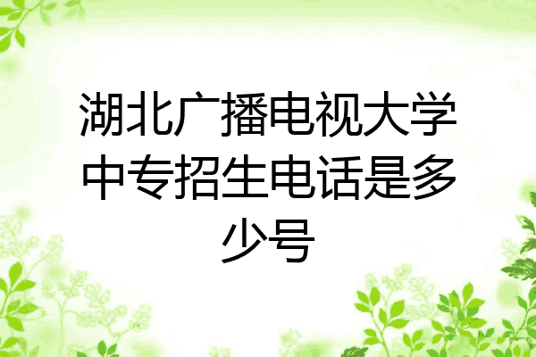 湖北广播电视大学中专招生电话是多少号