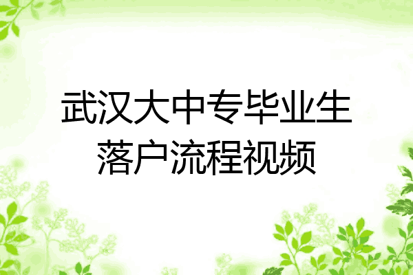 武汉大中专毕业生落户流程视频