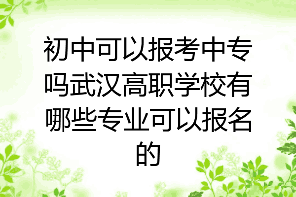 初中可以报考中专吗武汉高职学校有哪些专业可以报名的
