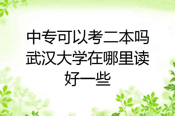 中专可以考二本吗武汉大学在哪里读好一些