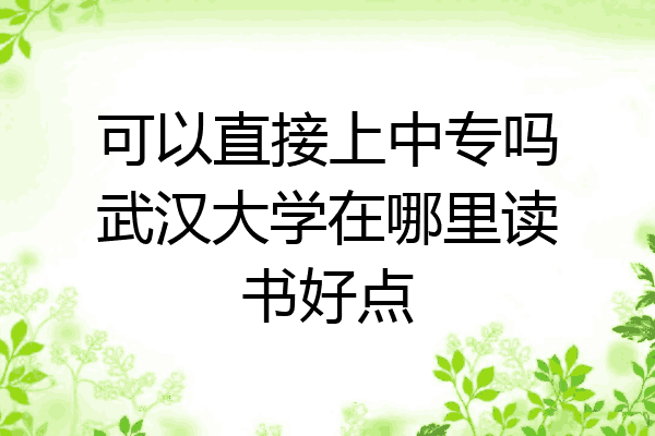 可以直接上中专吗武汉大学在哪里读书好点