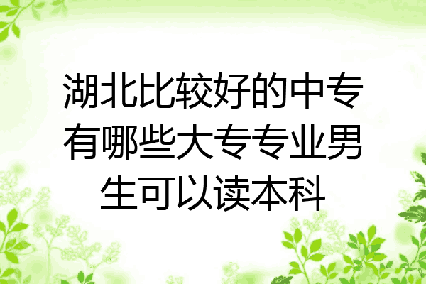 湖北比较好的中专有哪些大专专业男生可以读本科