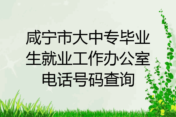 咸宁市大中专毕业生就业工作办公室电话号码查询