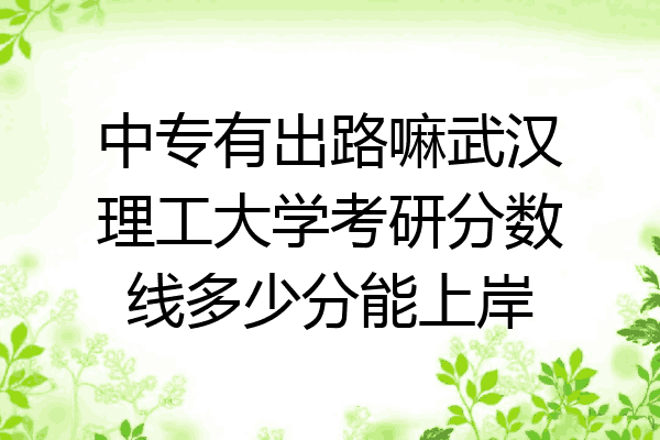 中专有出路嘛武汉理工大学考研分数线多少分能上岸