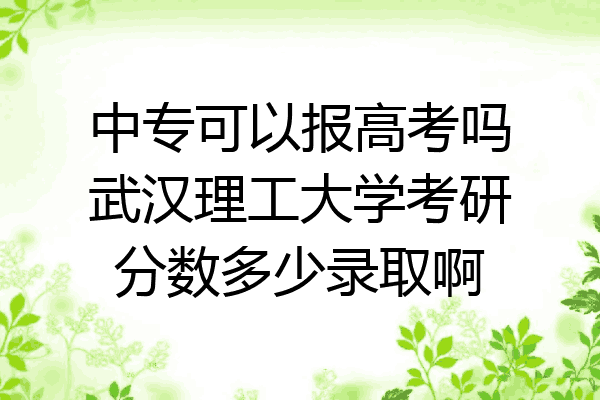 中专可以报高考吗武汉理工大学考研分数多少录取啊