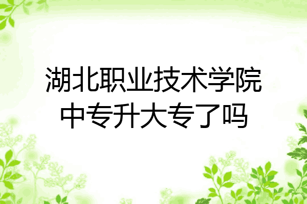 湖北职业技术学院中专升大专了吗