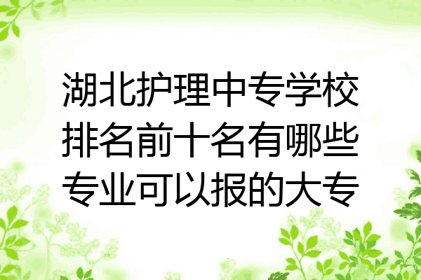 湖北护理中专学校排名前十名有哪些专业可以报的大专