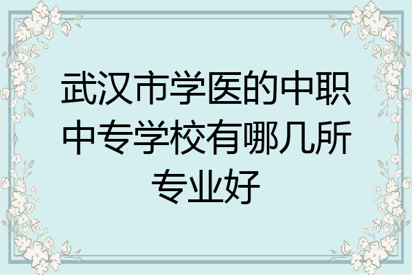 武汉市学医的中职中专学校有哪几所专业好
