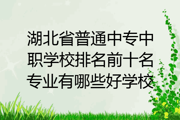 湖北省普通中专中职学校排名前十名专业有哪些好学校