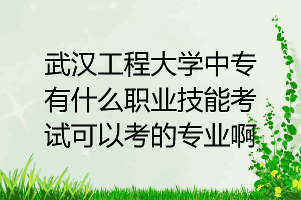武汉工程大学中专有什么职业技能考试可以考的专业啊