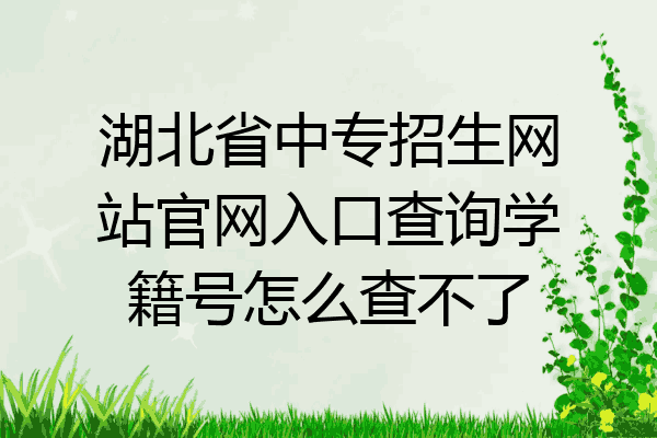 湖北省中专招生网站官网入口查询学籍号怎么查不了