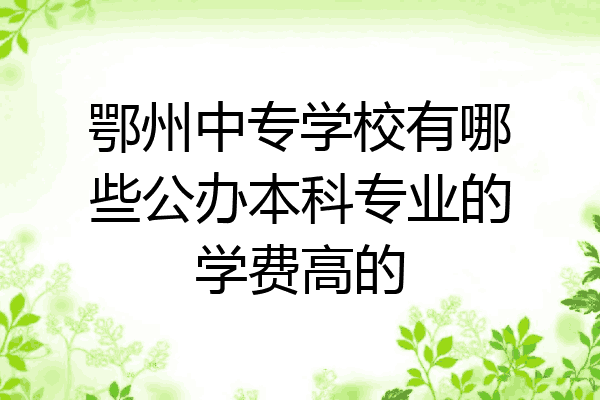 鄂州中专学校有哪些公办本科专业的学费高的