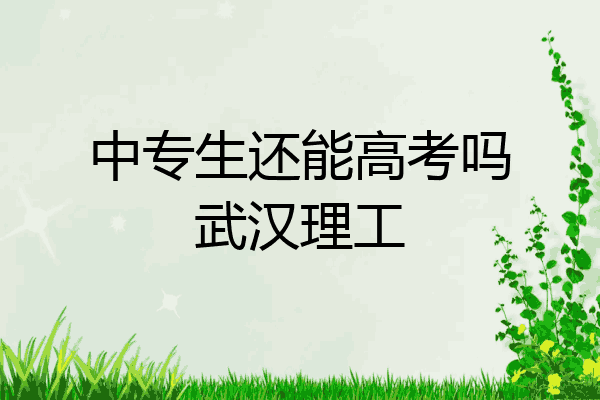 中专生还能高考吗武汉理工