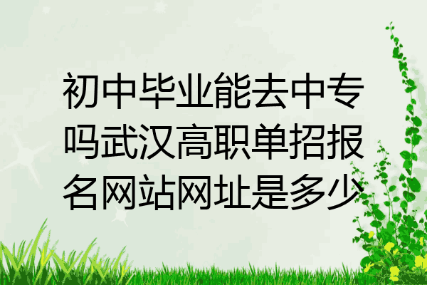 初中毕业能去中专吗武汉高职单招报名网站网址是多少